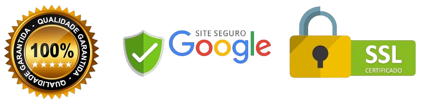 Site Seguro Google